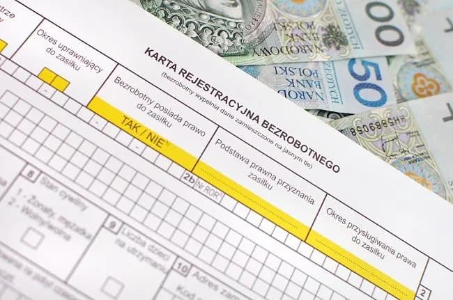 Zasiłek dla bezrobotnych po studiach - sprawdź, czy się kwalifikujesz